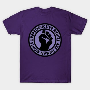 Reproductive Rights are Human Rights (lavender) T-Shirt